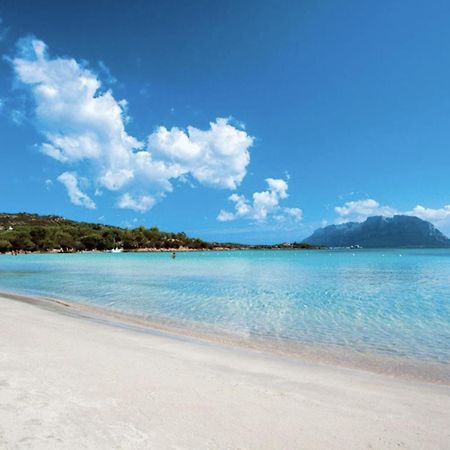 Appartamento Mare Olbia - Murta Maria Экстерьер фото